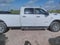 2024 RAM 2500 Big Horn Crew Cab 4x4 8' Box
